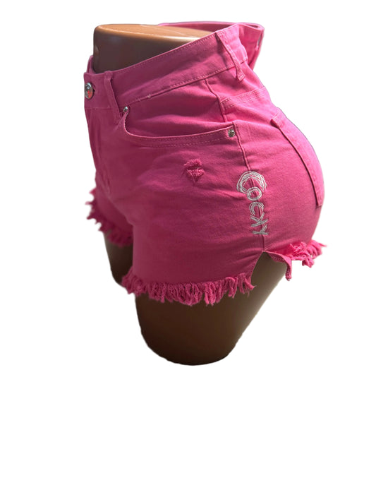 Boot Check Denim Shorts