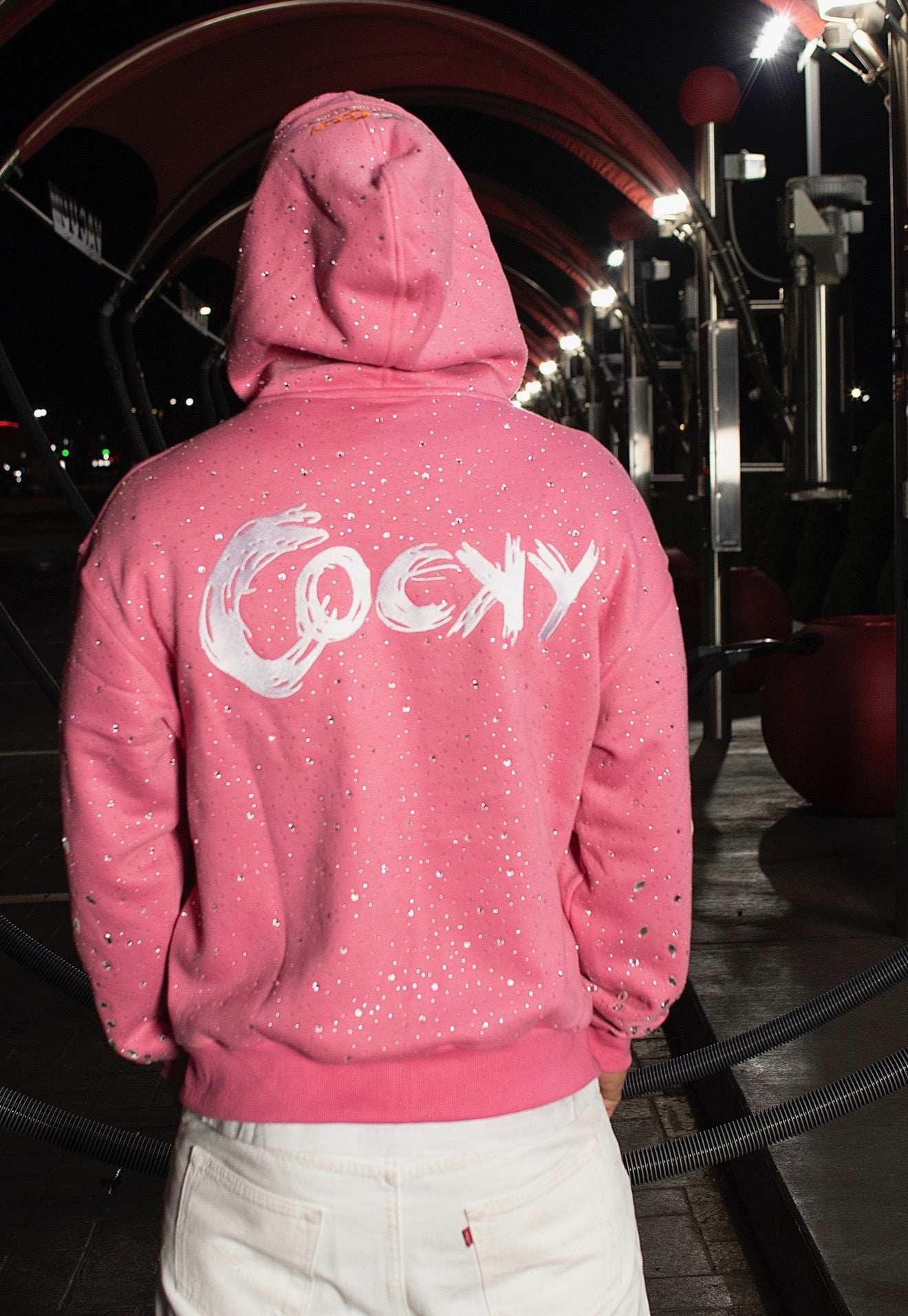 Cocky Icy Drip Zip Up Hoodie