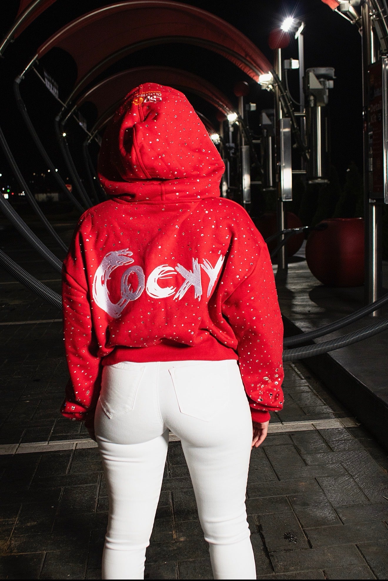 Cocky Icy Drip Zip Up Hoodie